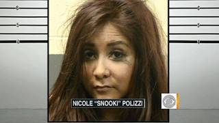 Eye-catching celebrity mug shots