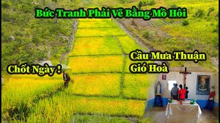 The Second World Council: From Fields and Gardens to Spirituality and Construction, Everything Ch...