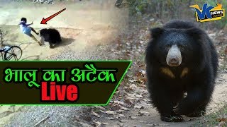 जंगल से गांव में घुस आया भालू और फिर हुआ ये....| Bear Rescue operation in Raigarh MP