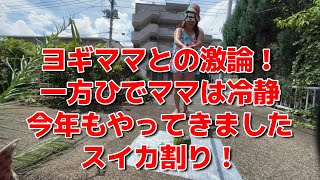 【ヨギママとの激論！一方ひでママは冷静／今年もやってきましたスイカ割り！【他雑談】】2023年08月08日