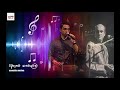 අහස පොළොව sunil edirisinghe sanka edirisinghe cover leya saha laya sound hall