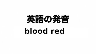 英単語 blood red 発音と読み方