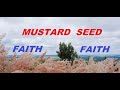 Mustard Seed