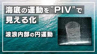 【PIV】 波浪内部で起こる円運動のPIV解析