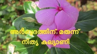 Vinca Rosea , Shavam Nari ശവം നാറി