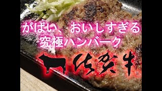 #35 ハンバーグ究極系、がばいうまかの佐賀牛ハンバーグ