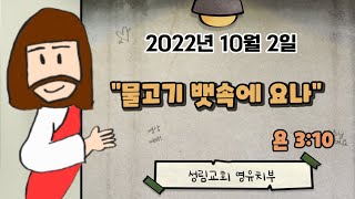 성림교회 영유치부 22년 10월 2일 영상예배