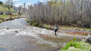 Two Brothers | A Short Fly Fishing Film By Colorado Native