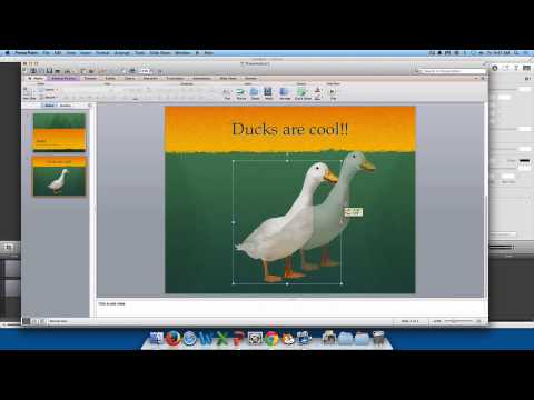 PowerPoint Tutorial 1: Beginning Basics - YouTube