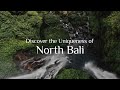 Discover The Uniqueness Of North Bali