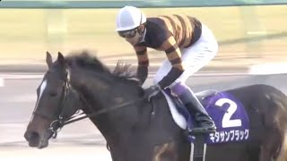 【第62回 有馬記念】キタサンブラック引退レース〜たくさんの感動をありがとう〜【勝利騎手インタビュー付き】