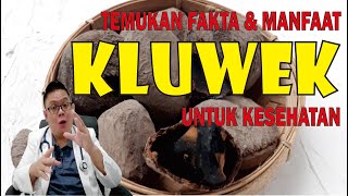 TEMUKAN FAKTA DAN MANFAAT KLUWEK UNTUK KESEHATAN