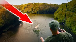 CATCH MORE CARP with these Day Session Carp Fishing Tactics and Tips! Mainline Baits Carp Fishing TV