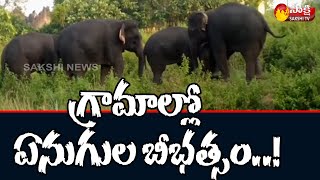 Elephants Hulchul In Kallikota Village,Vizianagaram District | Vizianagaram Latest News | Sakshi TV