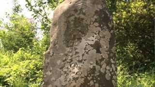 上野村の石造物 庚申塔