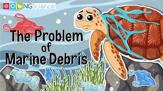 The Problem of Marine Debris