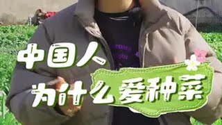 中国人为什么爱种菜？种菜 关注我一起学种菜 自己种的纯天然的绿色蔬菜 我的小菜园 种植小技巧