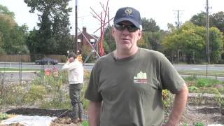 Community Gardening 101