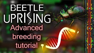 Beetle Uprising Advanced Breeding Tutorial