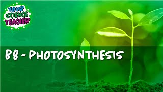 B8 - WHOLE TOPIC GCSE PHOTOSYNTHESIS