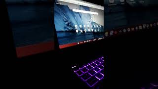 Day 2 | Timelapse | Coder | Developer