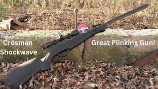 Discover the Best Pellet Gun: Is the Crosman 22 Shockwave Worth It?