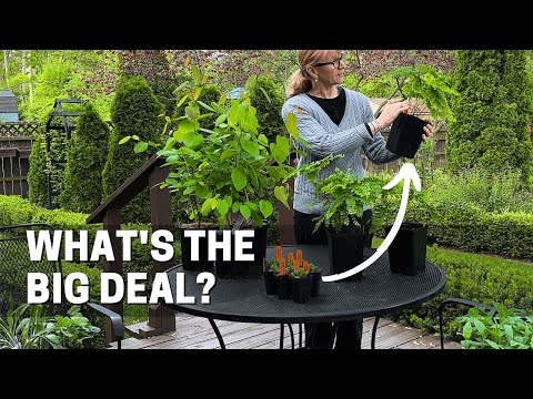 What are some of the native plants?
