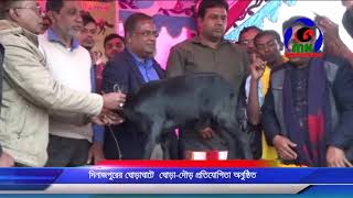 দিনাজপুরের ঘোড়াঘাটে ঘোড়া দৌড় প্রতিযোগিতা অনুষ্ঠিত