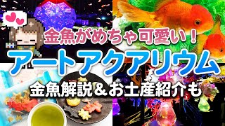 アートアクアリウム美術館GINZA【金魚解説／お土産紹介】