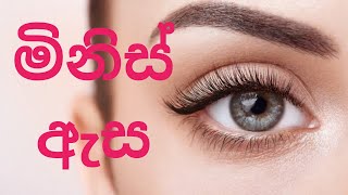 Structure of human eye| මිනිස් ඇස @biology @Amoeba sisters