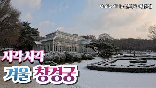 눈 내린 겨울 창경궁(Winter of Changgyeonggung in Seoul)