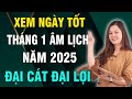 Xem Ngày Tốt Tháng 1 Âm Lịch năm 2025, Tốt Cho Mọi Việc: Xuất Hành, Khai Trương, Mở Hàng, Cầu Tài...