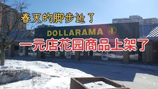 春天的脚步近了 | 一元店花园商品上架了 | 一起去逛逛有哪些好东西