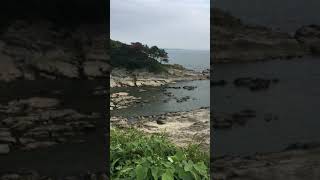 荒崎海岸 夕日の見える丘 高台から見渡す