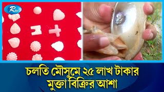 মুক্তা চাষে লাখপতি তারেক! | Pearl farming | Rajbari | Rtv News