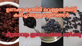 ഉണക്ക മുന്തിരി കഴിച്ചാലുള്ള ഗുണങ്ങൾ