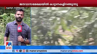 'കഴിഞ്ഞ ദിവസം ഒരാളെ ആന കുത്തിയിട്ട് ഫോറസ്റ്റുകാര്‍ വന്നില്ല, തിരിഞ്ഞുനോക്കാറില്ല'|Kothamangalam