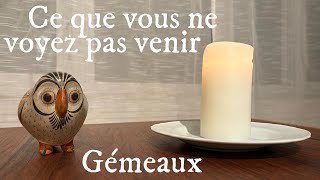 Gémeaux - Ce que vous ne voyez pas venir - Février 2025 - Tirage de tarot