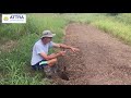 the art of trench composting