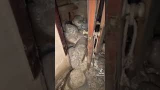 Abandoned Crematorium *Human Remains Left Inside*