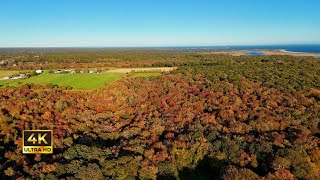 Peaceful Foliage Flyover | 4K Ambient Visualizer | DJI Mini 4 Pro | Relaxing Autumn Drone Video