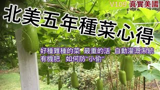 【種菜】【老陳真實美國】（109）北美五年種菜的五點心得。