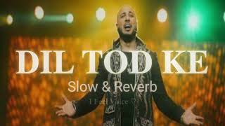 Dil Tod Ke || Slow & Reverb || B Praak, Rochak Kohli || 𝐈 𝐅𝐞𝐞𝐥 𝐕𝐨𝐢𝐜𝐞 ♡