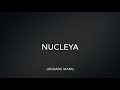 Nucleya Ringtone || Best Ringtone 2019