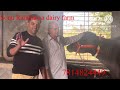 ph. no.7814824449 sonu randhawa dairy farm best foryou top viralvideo