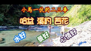 哈盆古道釣遊初體驗；釣苦花、鑽林子、攀石坡，景好水好心情好​