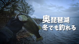 前回の爆釣パターンを試しに行ってきた！［琵琶湖バス釣り］