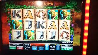 WILD LIFE BONUS!   15 Free Spins on a MAX BET!