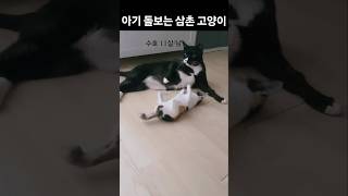 수호는 비록 투병 중이지만 아기들을 예뻐해요~