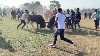 Reda jhunj tembhavli.  saitan vs titya